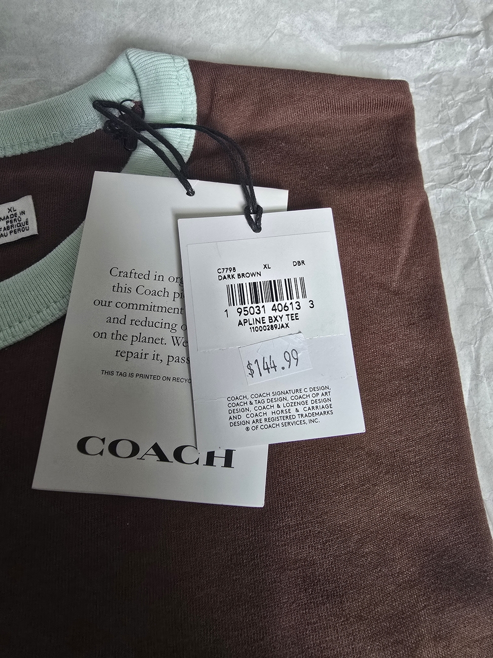 Coach Alpine Boxy Tee in Dark Brown with Mint Trim